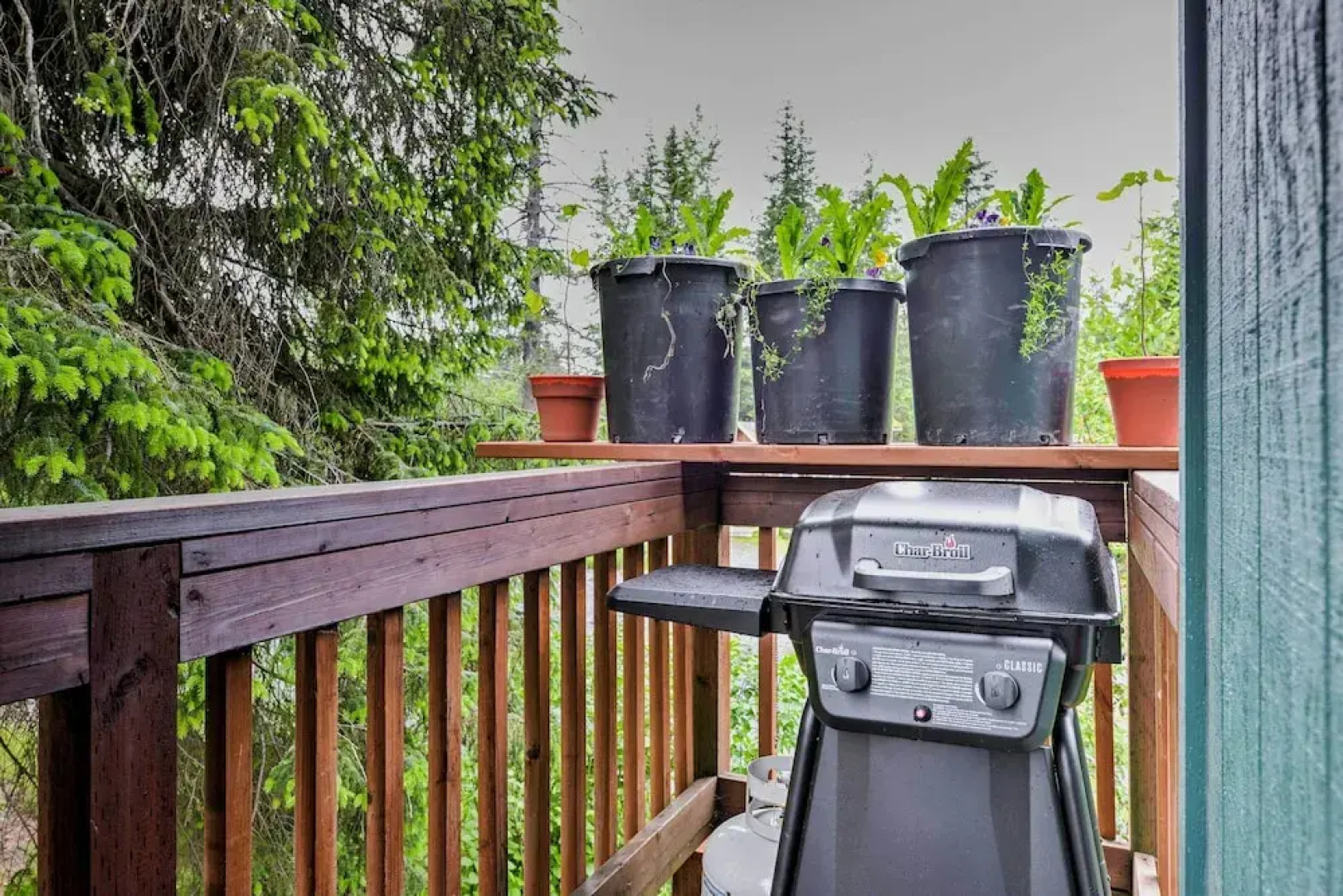 Seward Studio w/ Deck, Outdoor Dining & Mtn Views!