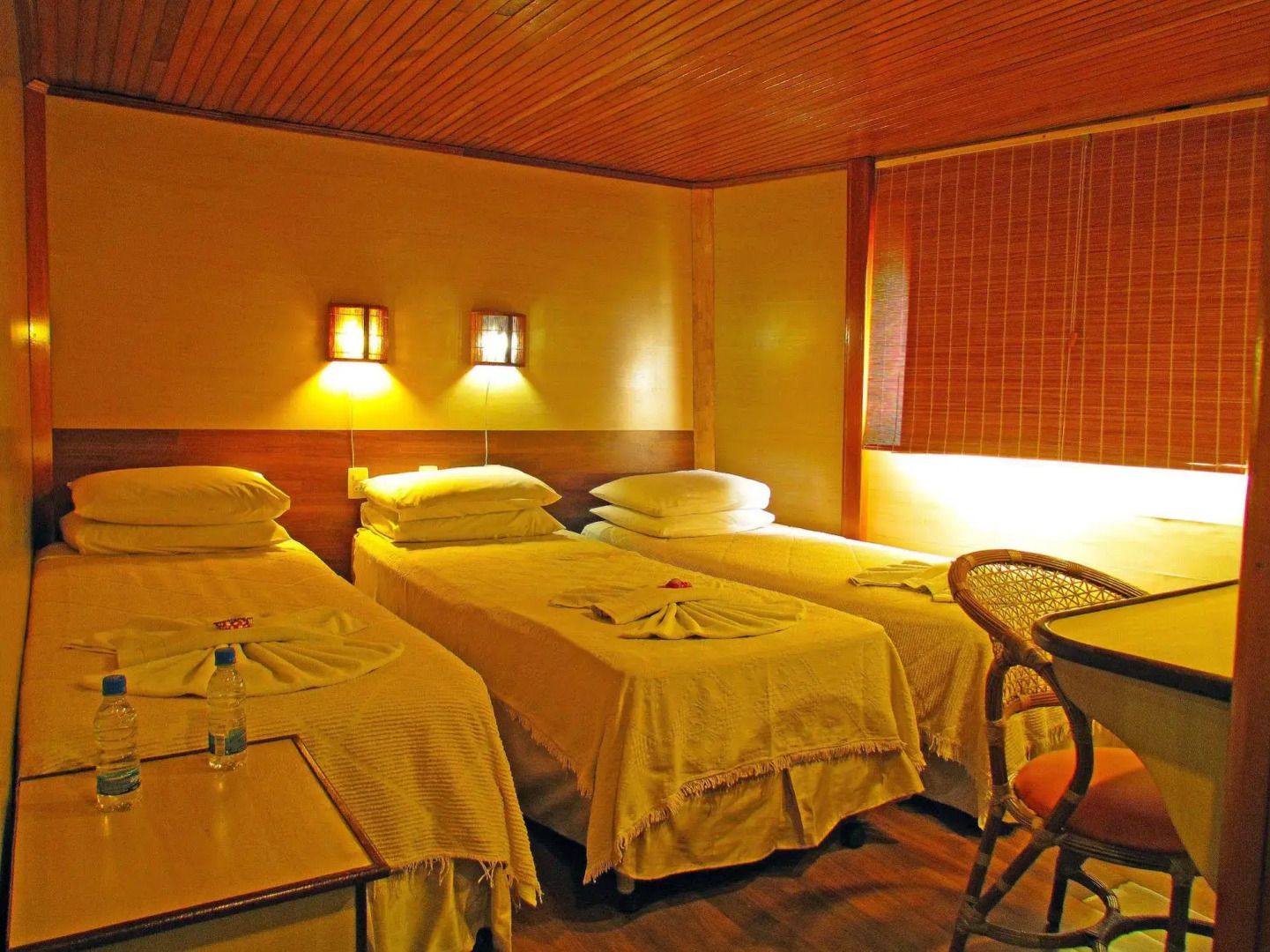 Amazon Clipper Premium