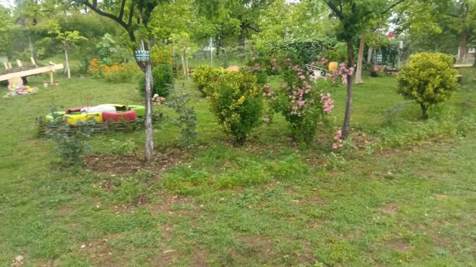 Guest House Nargo's garden