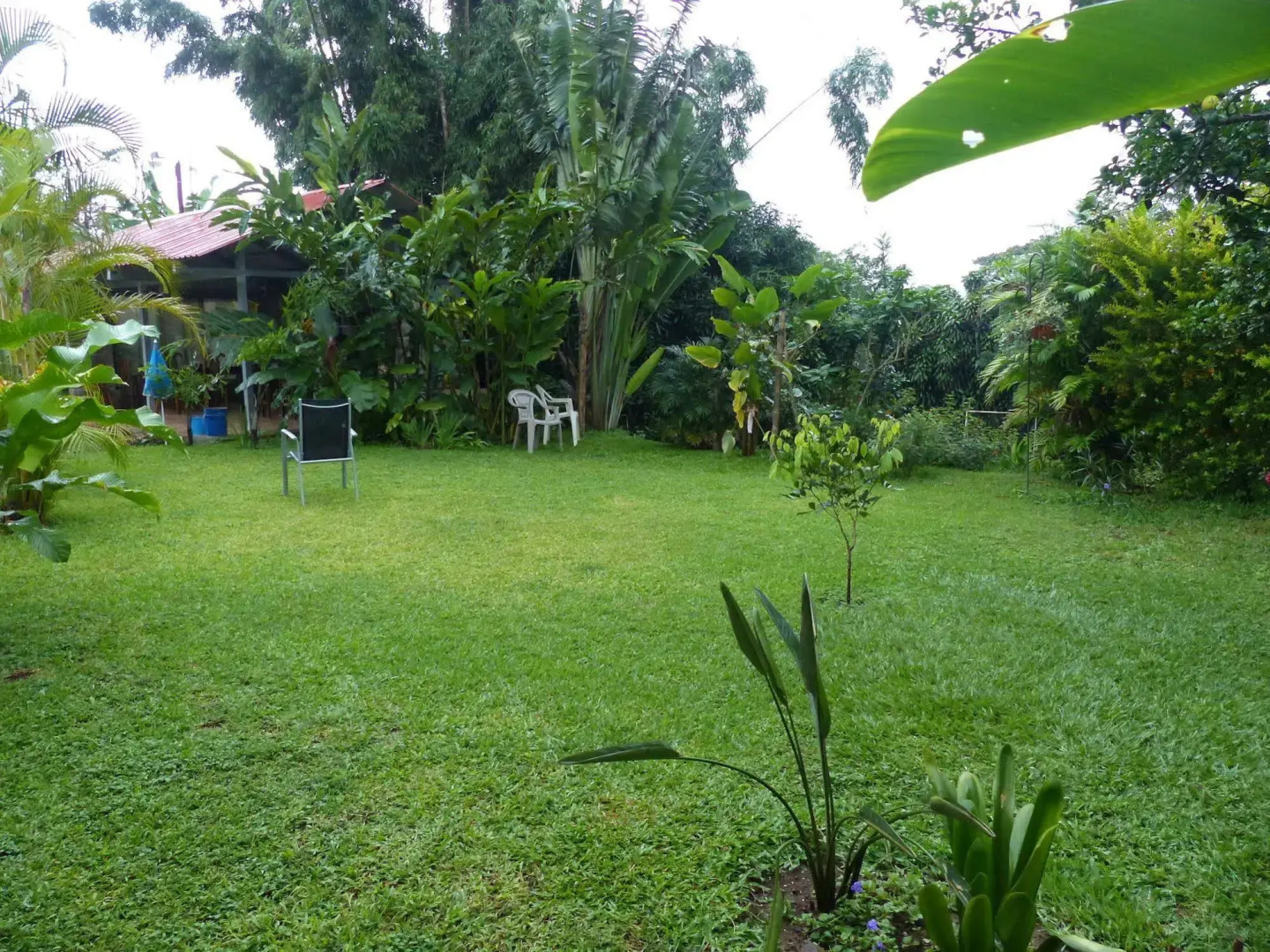 Hotel B&B Garden Grecia