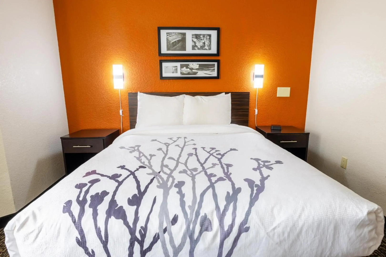 Sleep Inn Ormond Beach - Daytona