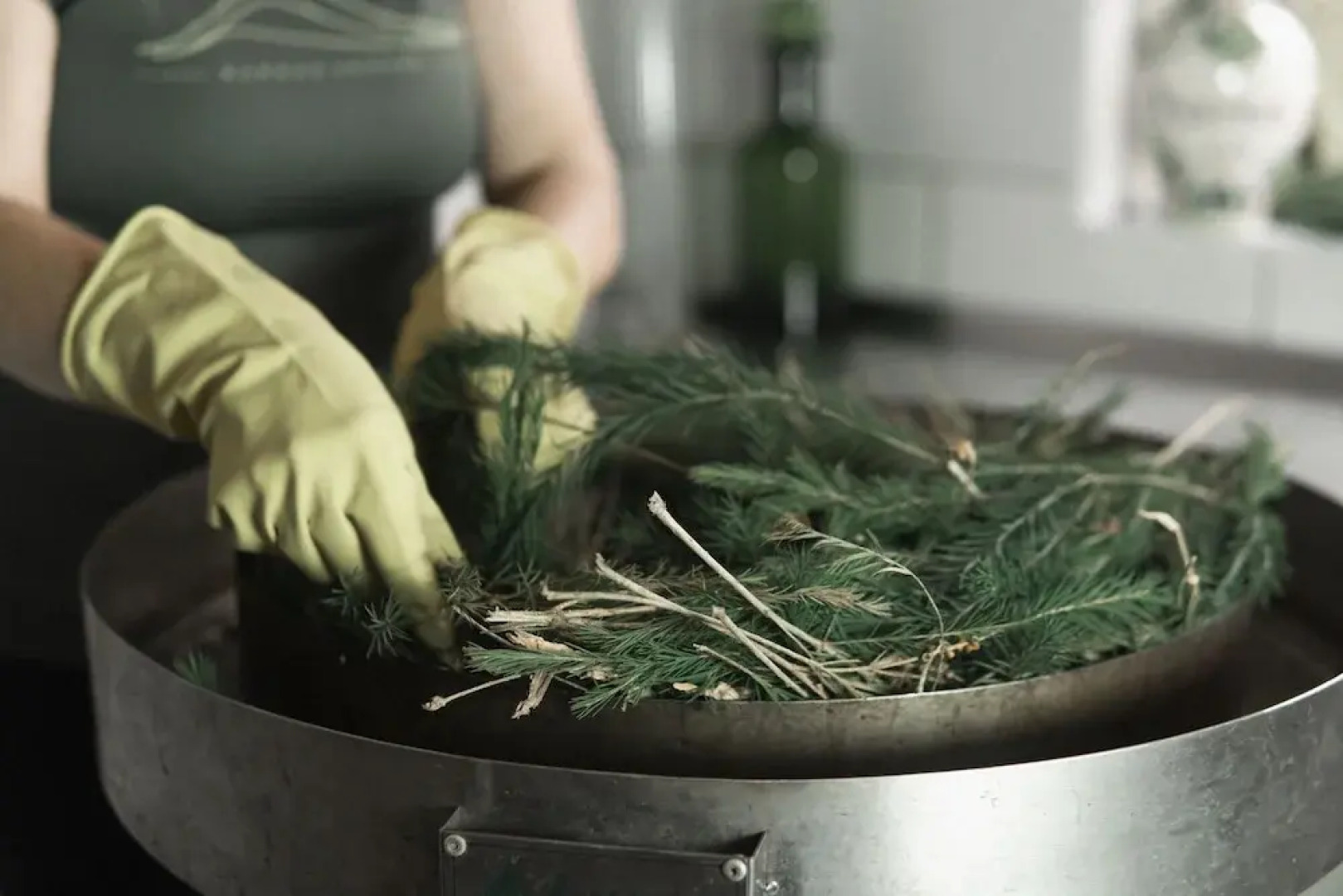 Hotel Fazenda Morros Verdes Ecolodge