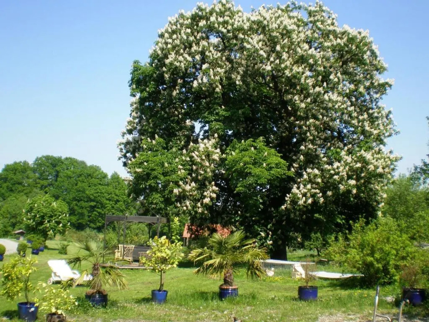 Wampendobler Paradies