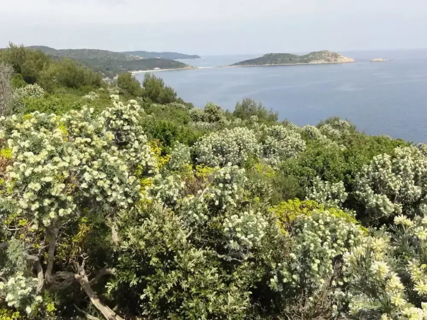 Holiday Home Parc Eugenie