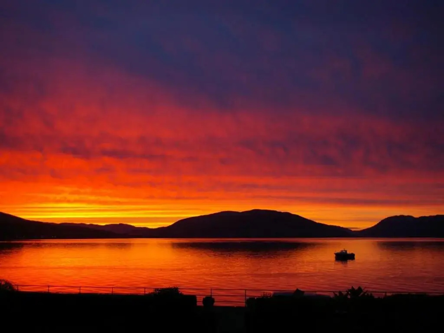 The Ardyne Guest House