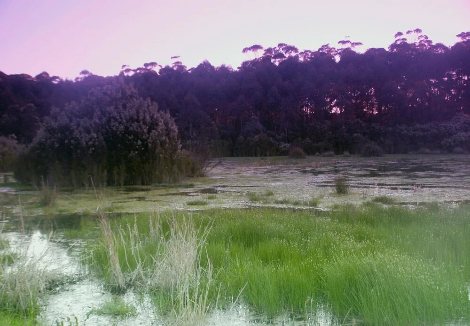 Bewong River Retreat