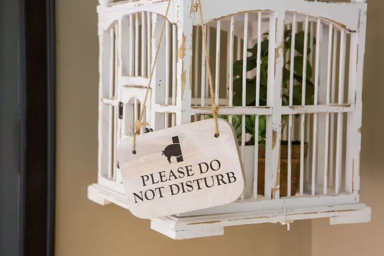 The Curious Pig in the Parlour