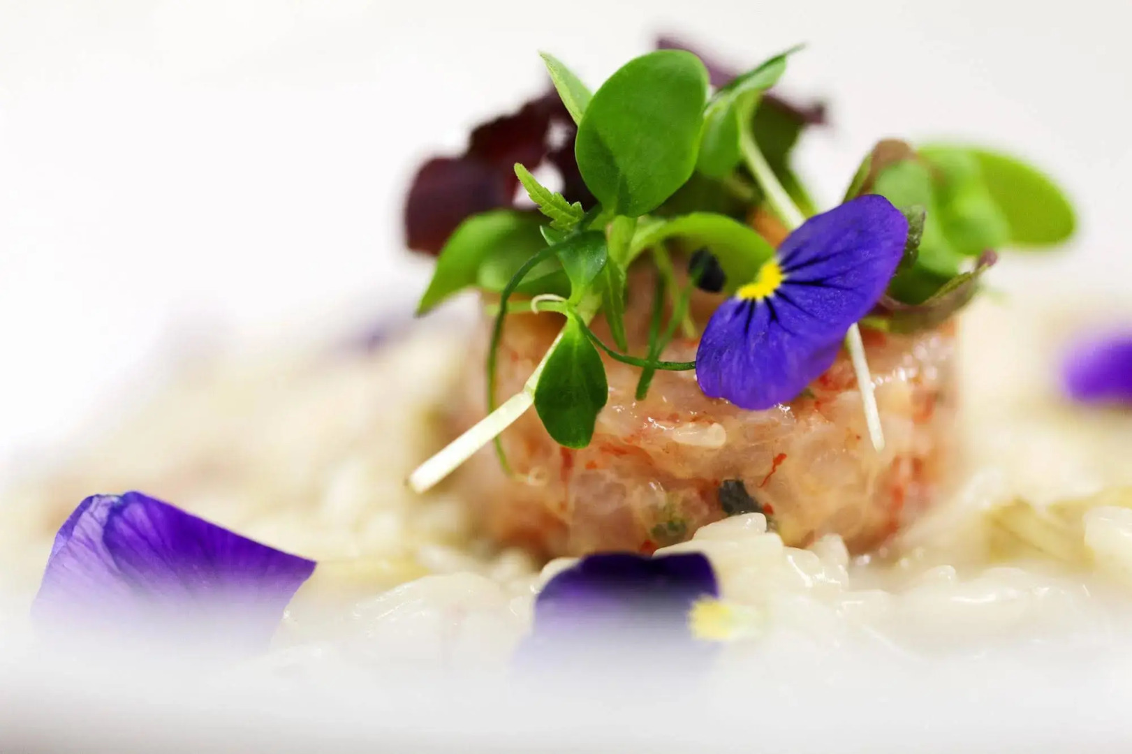 Albavilla Hotel & Co.