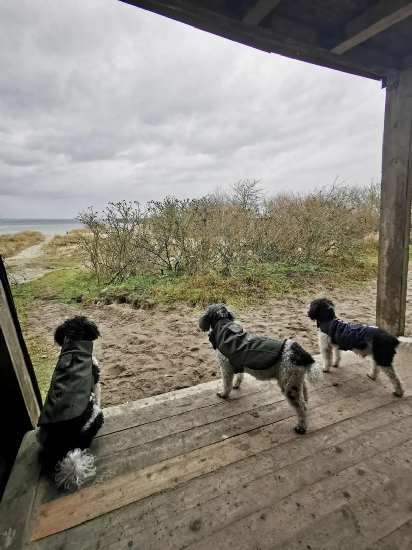 Ferienwohnung Schwede