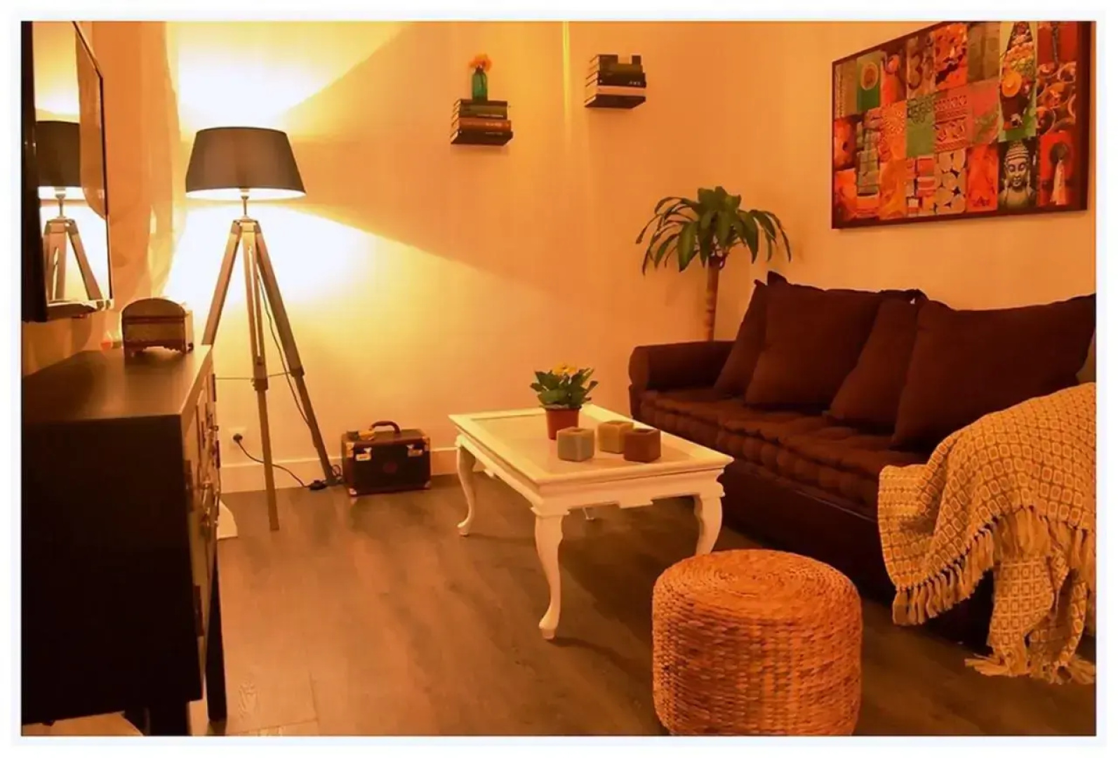 Colegiata Home