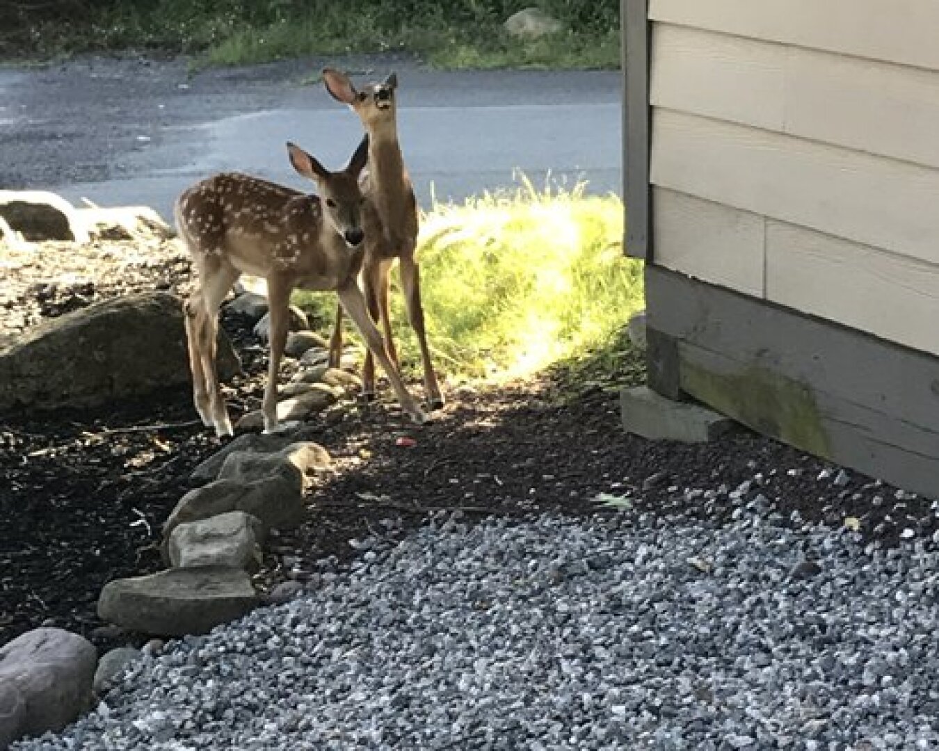 Westwood Villas, Lake Harmony, USA