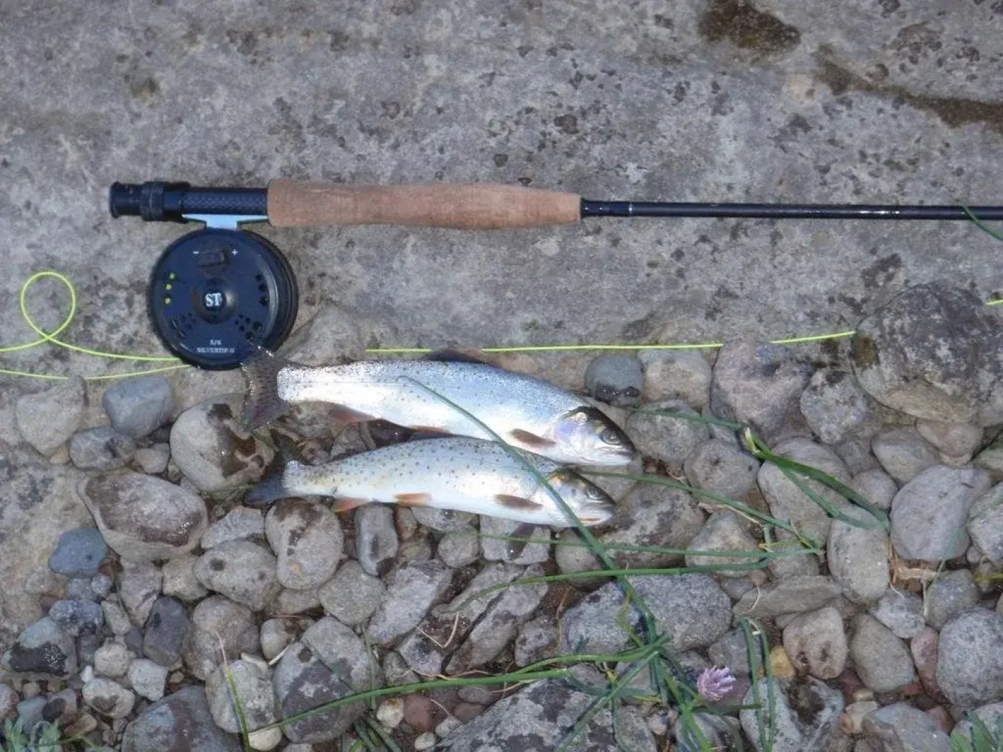 Bedroll and Breakfast - Campground