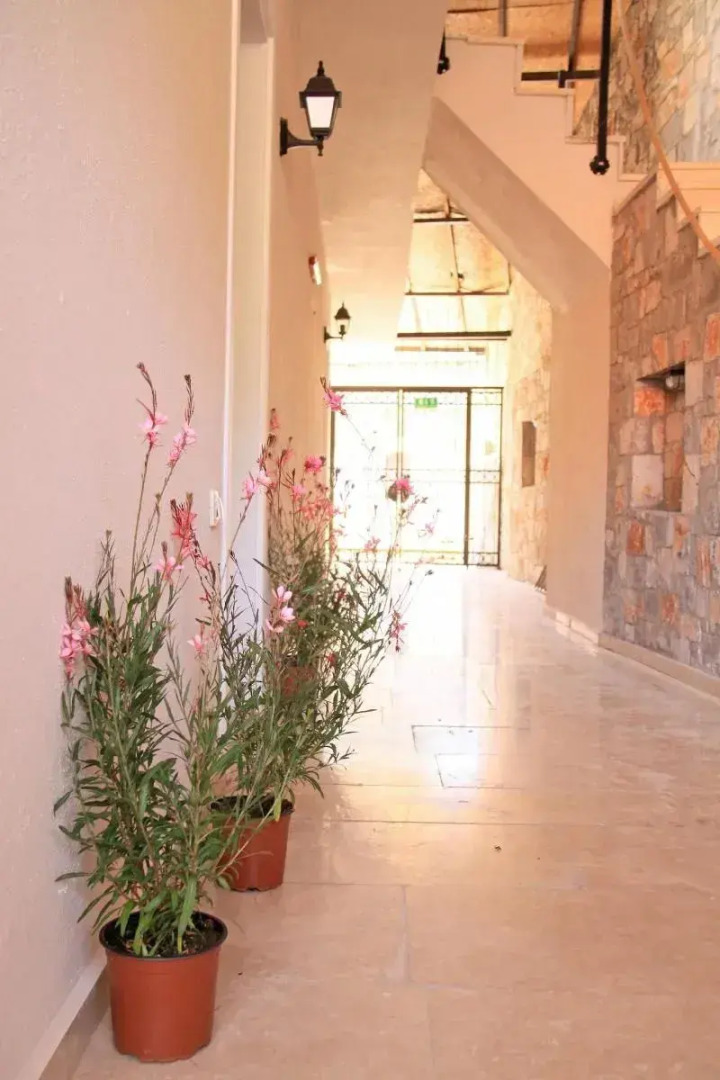 Lady Rose Boutique Pension