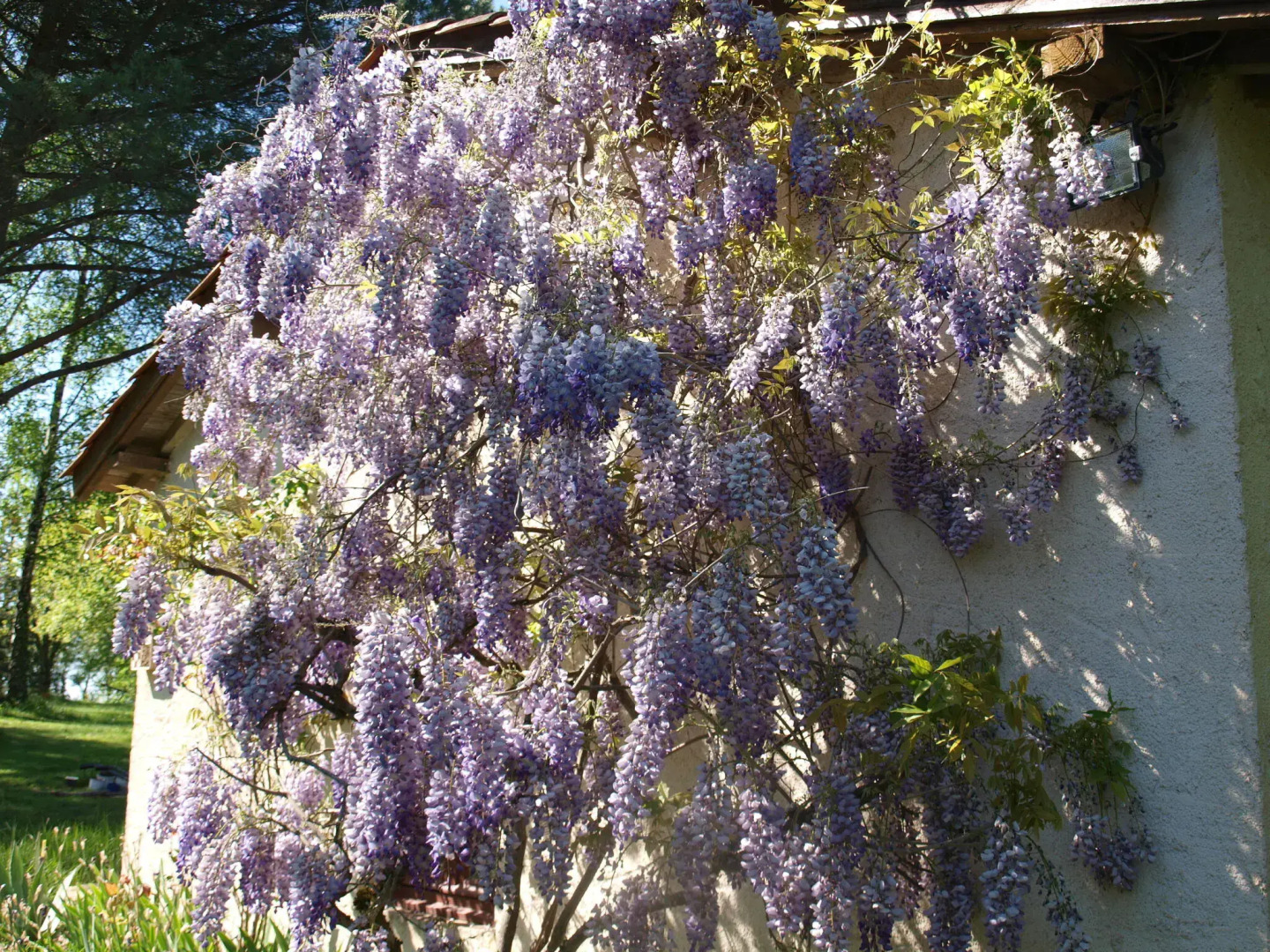Cozy Cottage in Aquitaine With Private Swimming Pool