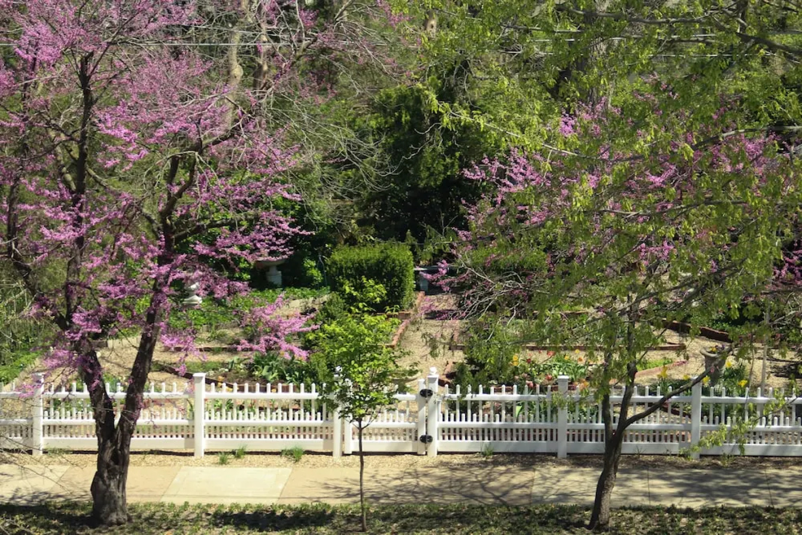Moore House Bed and Breakfast