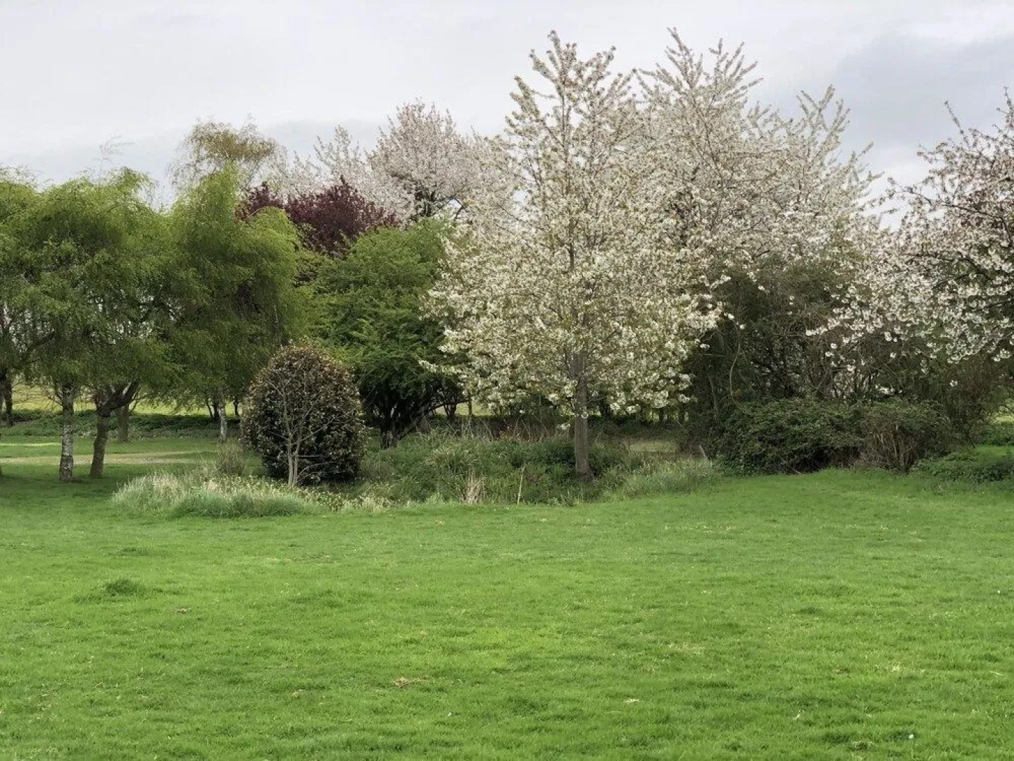 Sibton White Horse Inn