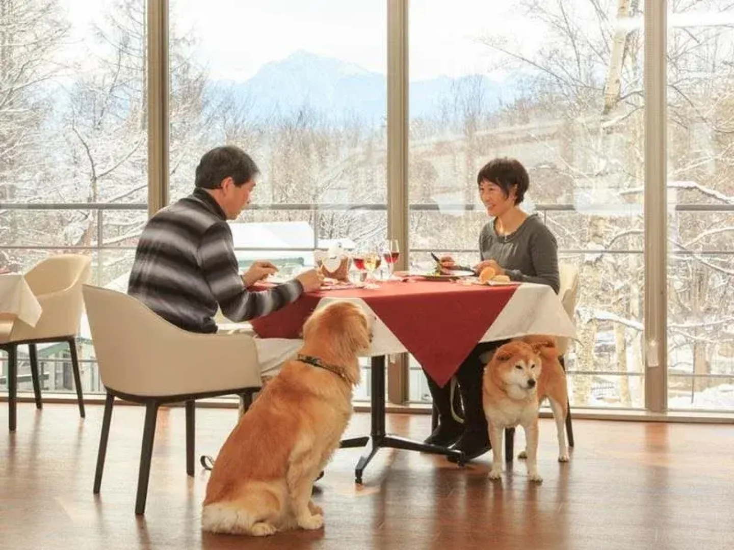 Izumigo Yatsugatake Dog Paradise Cottage