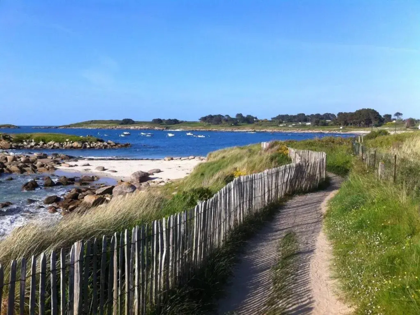 Maison Pleumeur-Bodou, 5 pièces, 8 personnes - FR-1-542-29