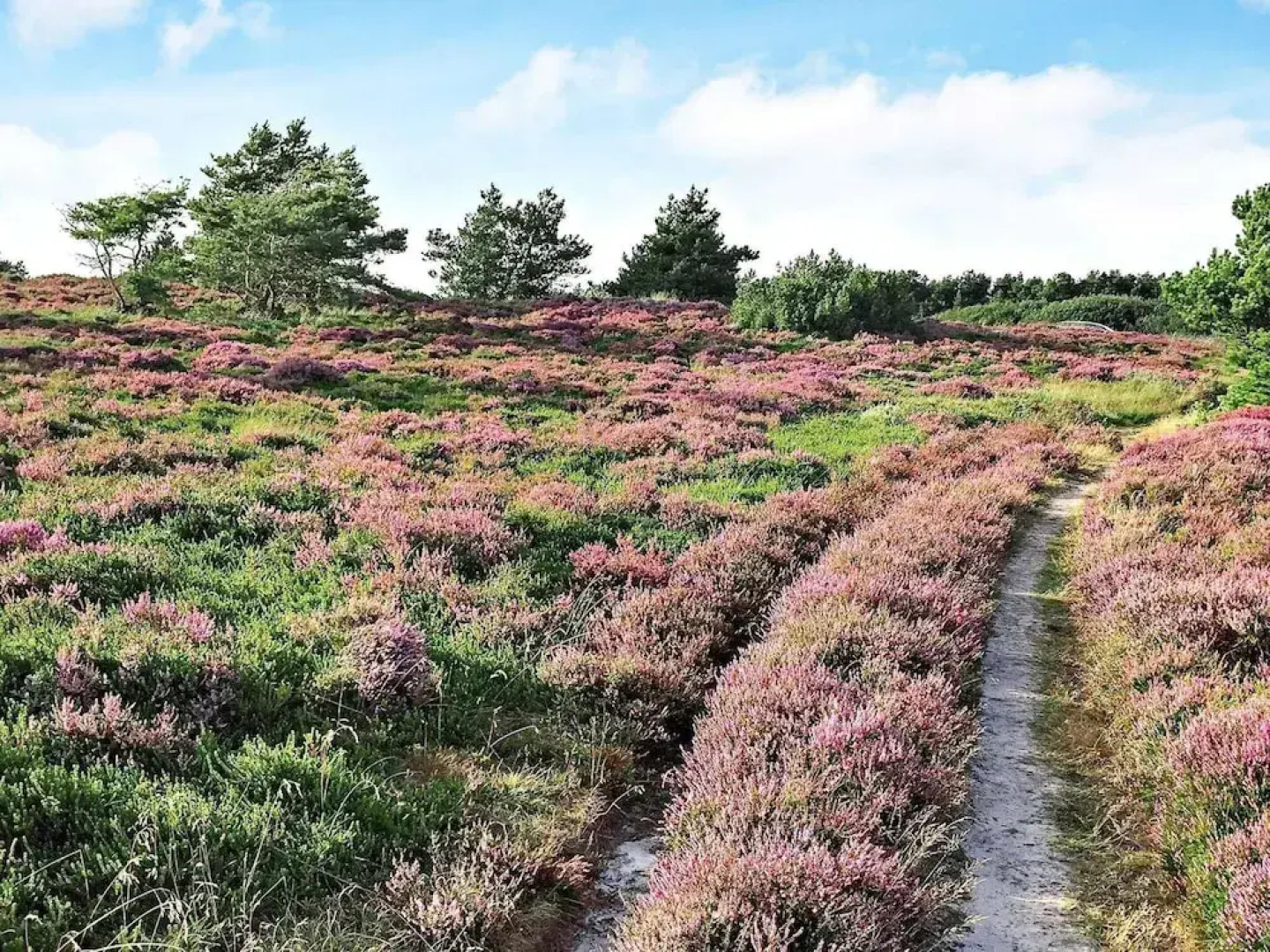 6 Person Holiday Home in Romo