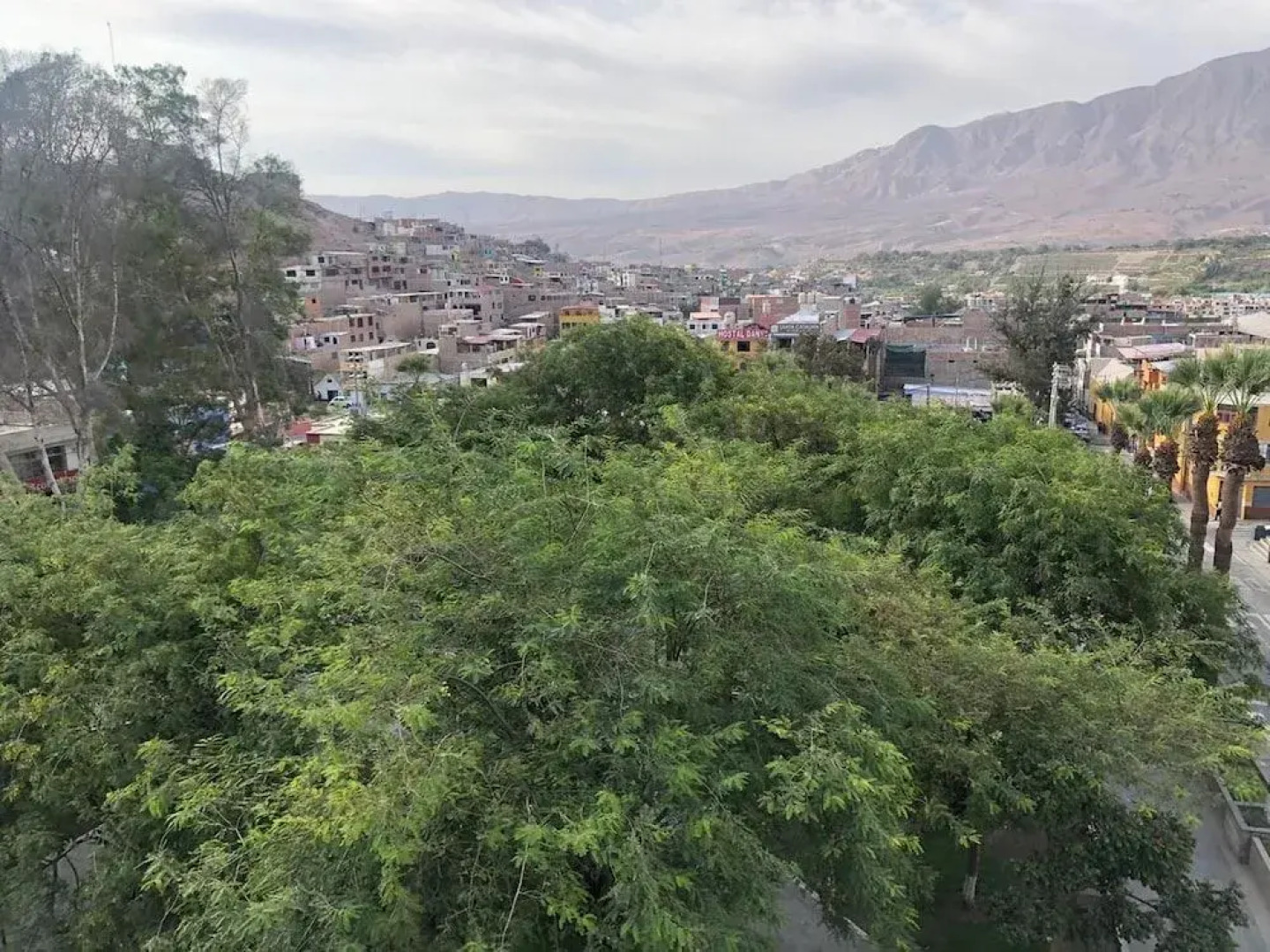 Hotel El Monarca Suite