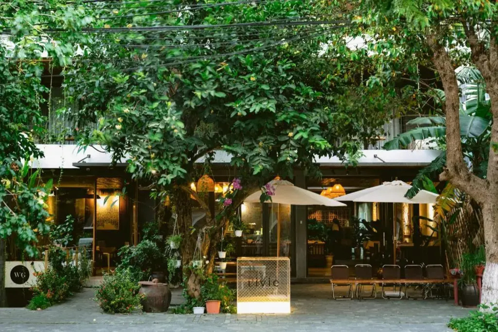 LIVIE Da Nang Style