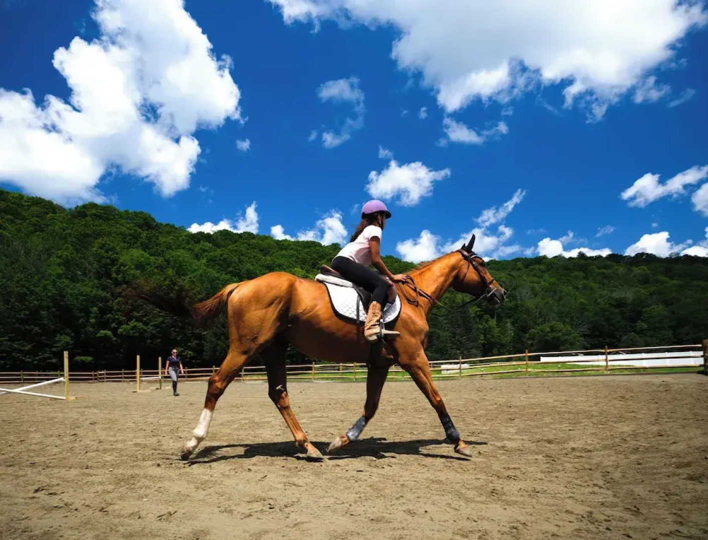 Saddleview Bed & Breakfast