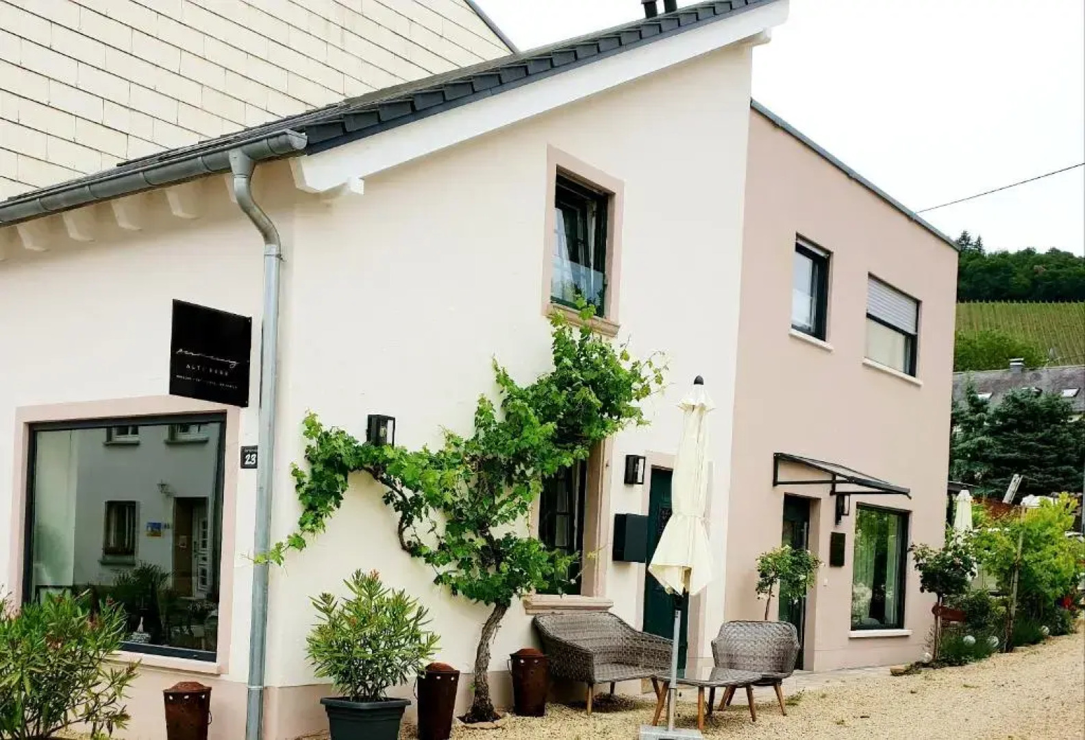 Zur alten Rebe Ferienhaus und Weingut