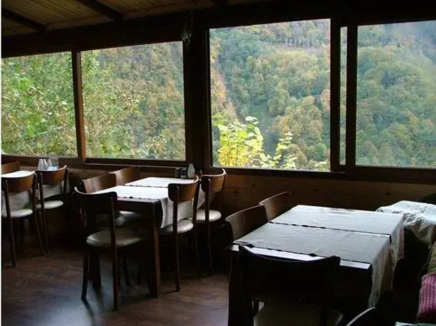 Ekodanitap Natural Life