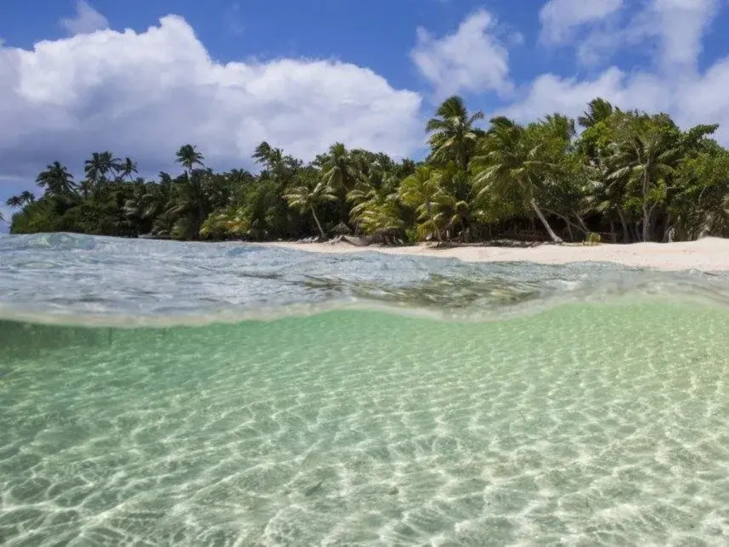 Naigani Island Resort