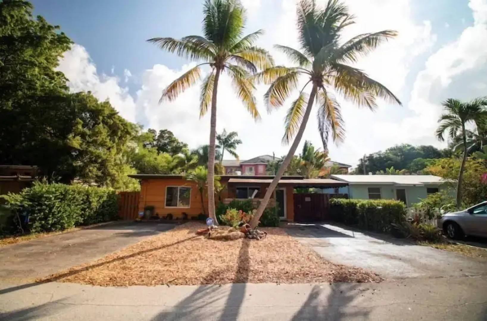 Wilton Way Orchid House