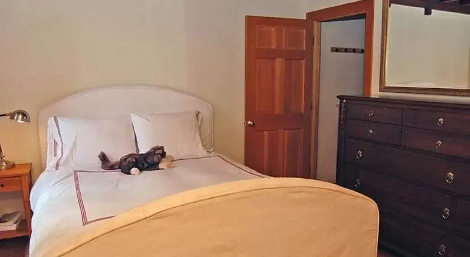 RedAwning Darling Delight Cabin