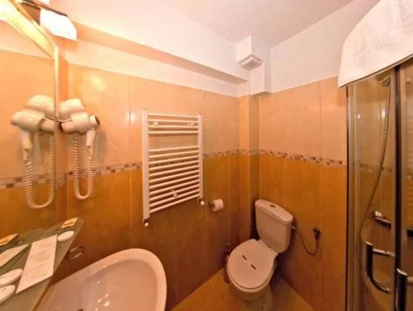 Pension Popasul Domnesc