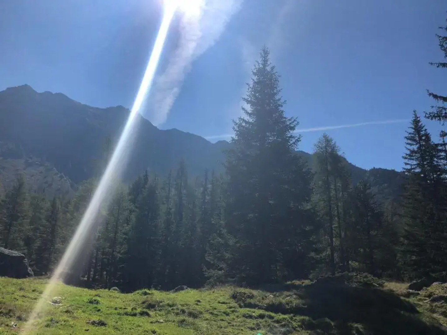 Ferienhof Kasparbauer