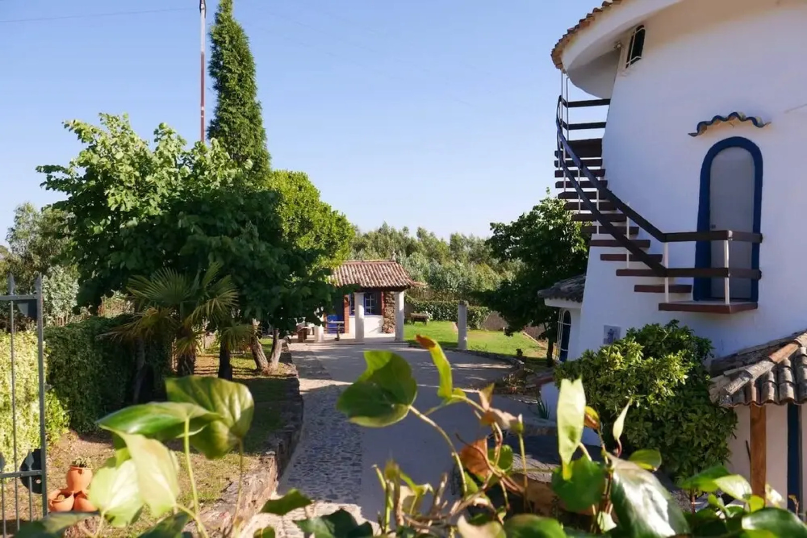 House With 3 Bedrooms in Anadia, With Wonderful Mountain View, Enclosed Garden and Wifi