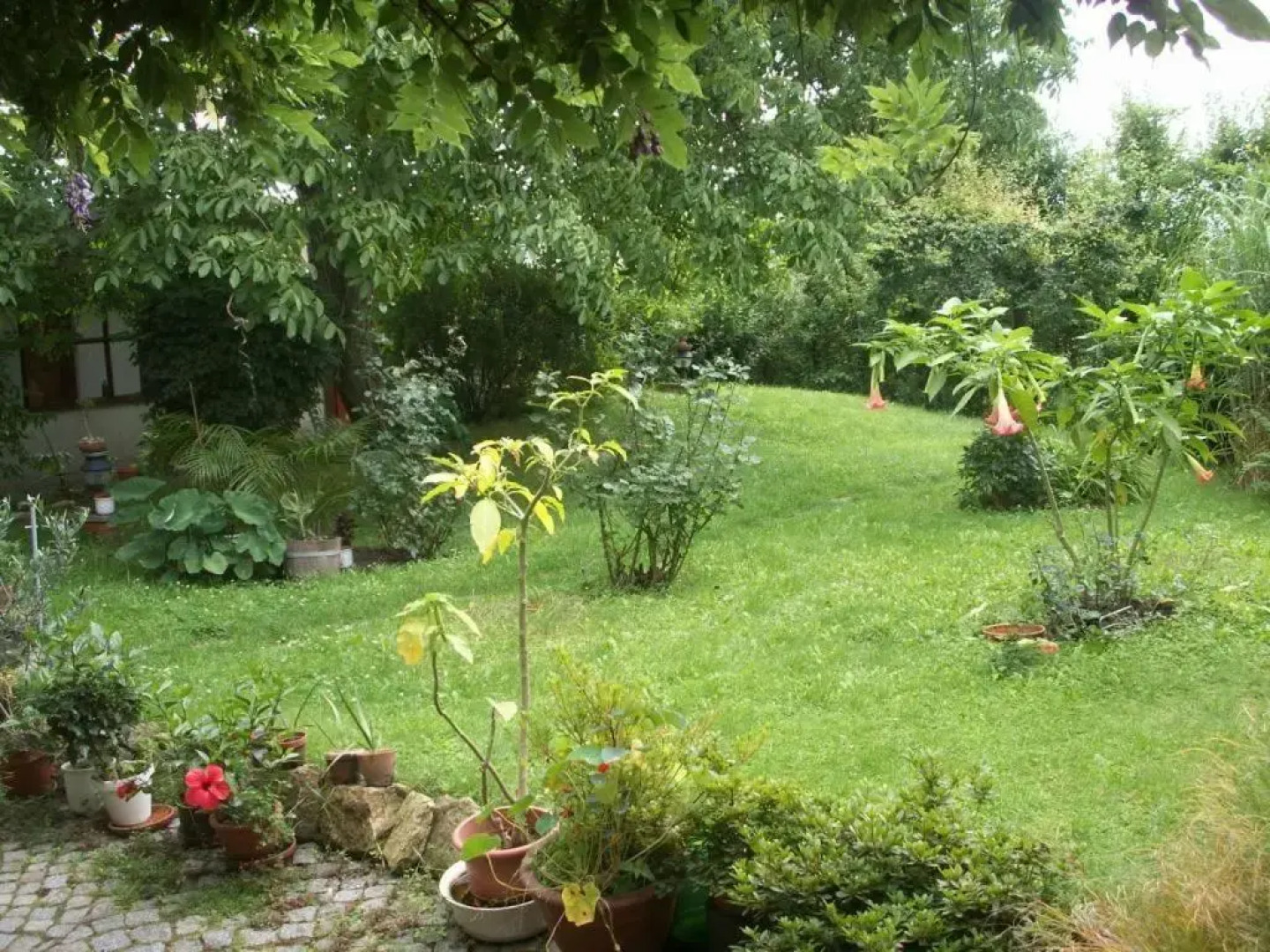 Hotelpension Dresdner Höhe