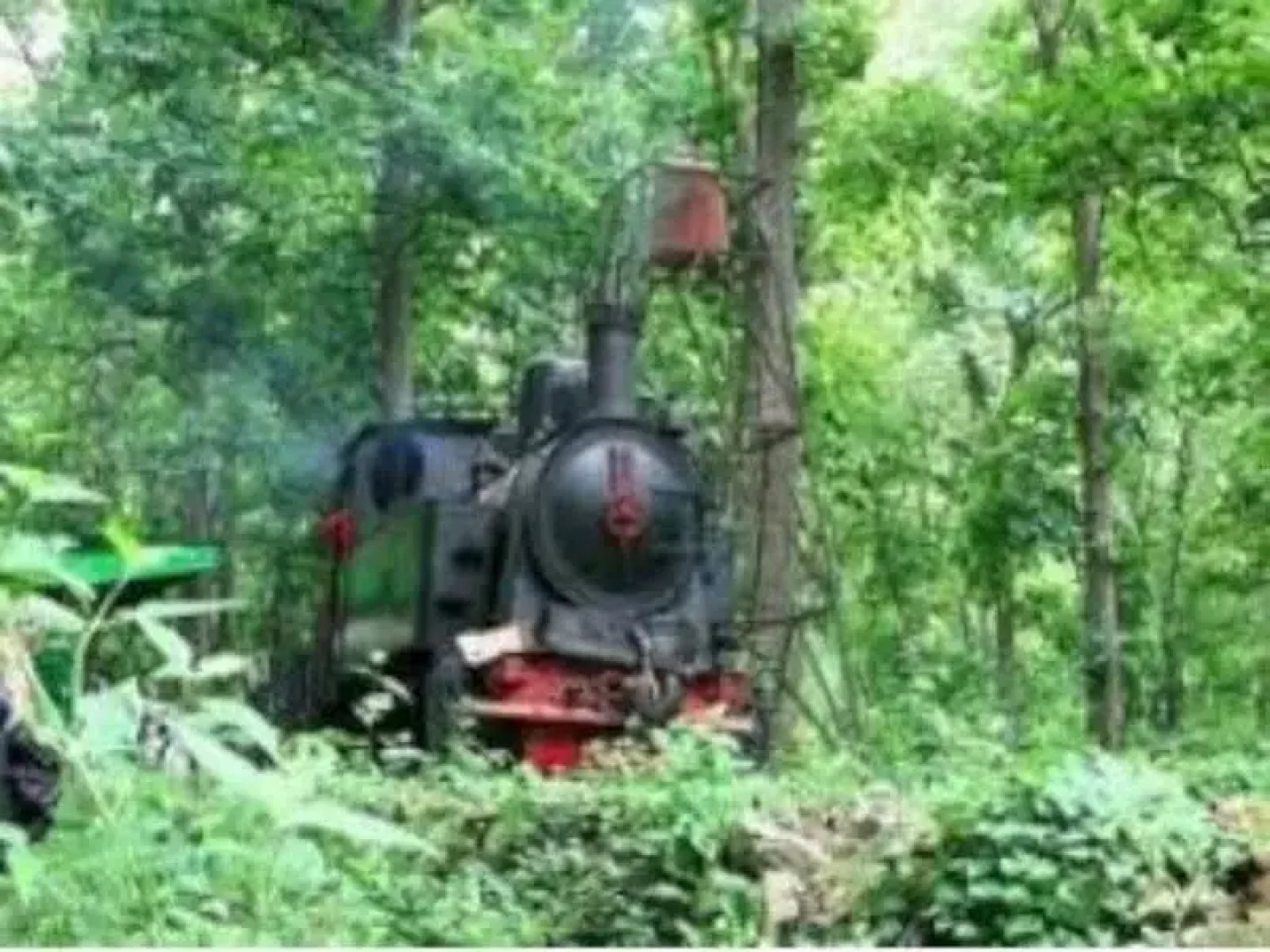 Homestay Simpang Tujuh