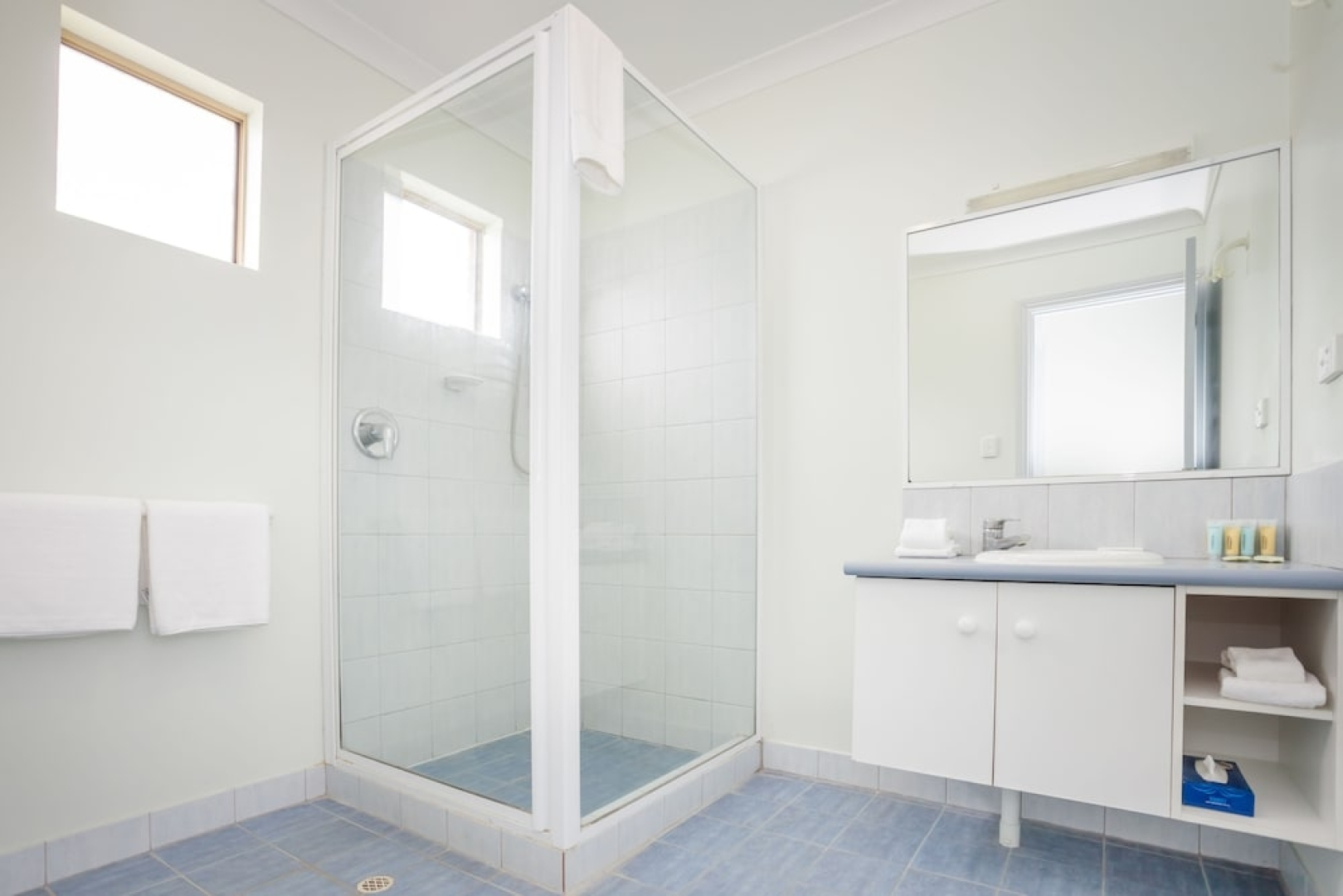 Banksia at Middleton