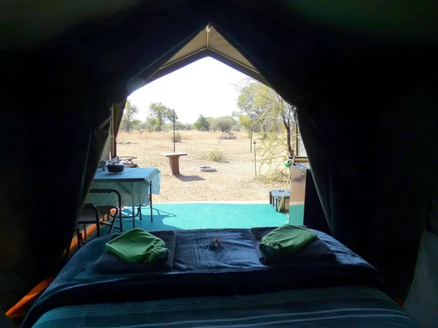 Thorn Tree Bush Camp