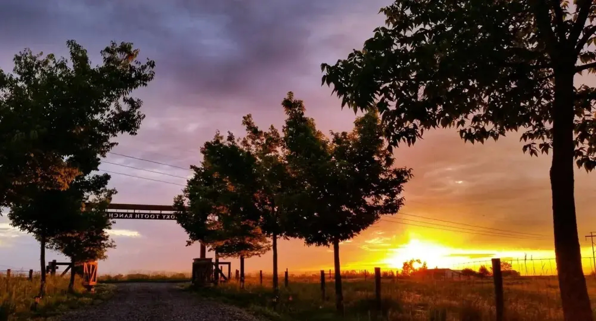 Llama-stay at Spooky Tooth Ranch – Mtn Views!!