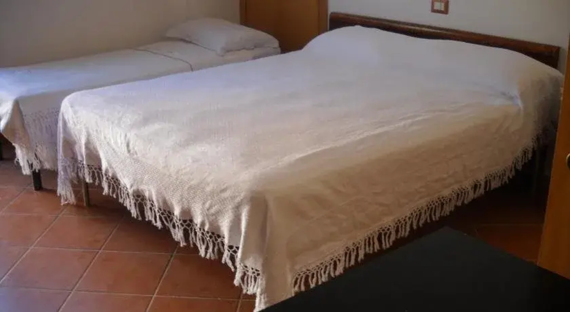 B&B Alce