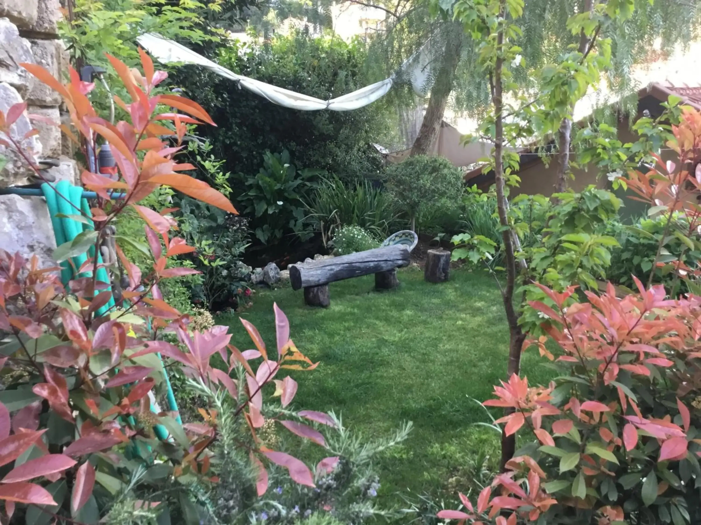 Skylark Bed & Breakfast