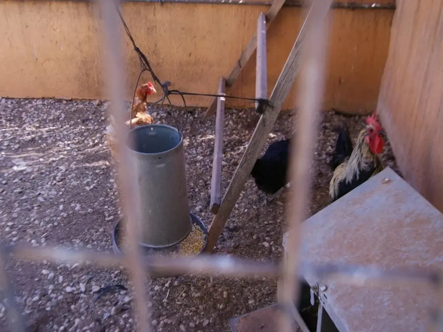 House With 4 Bedrooms in Benifayó, With Wonderful sea View, Private Po