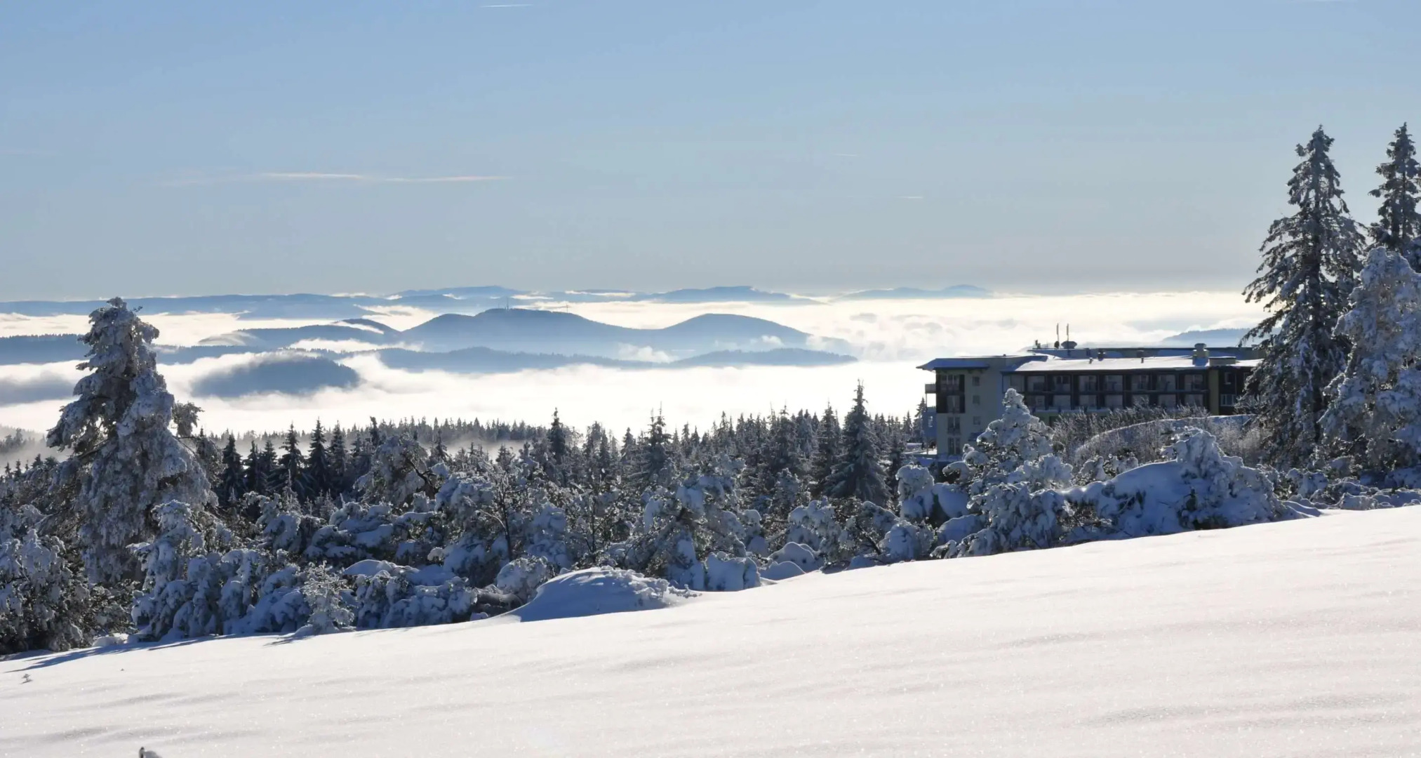 Wellness- & Nationalpark Hotel Schliffkopf Bwsc
