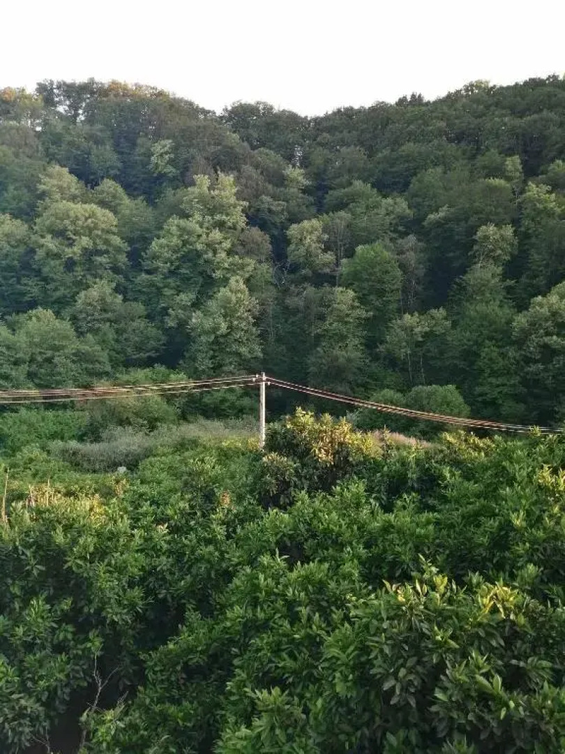 Guest House on Rechnaya 14G