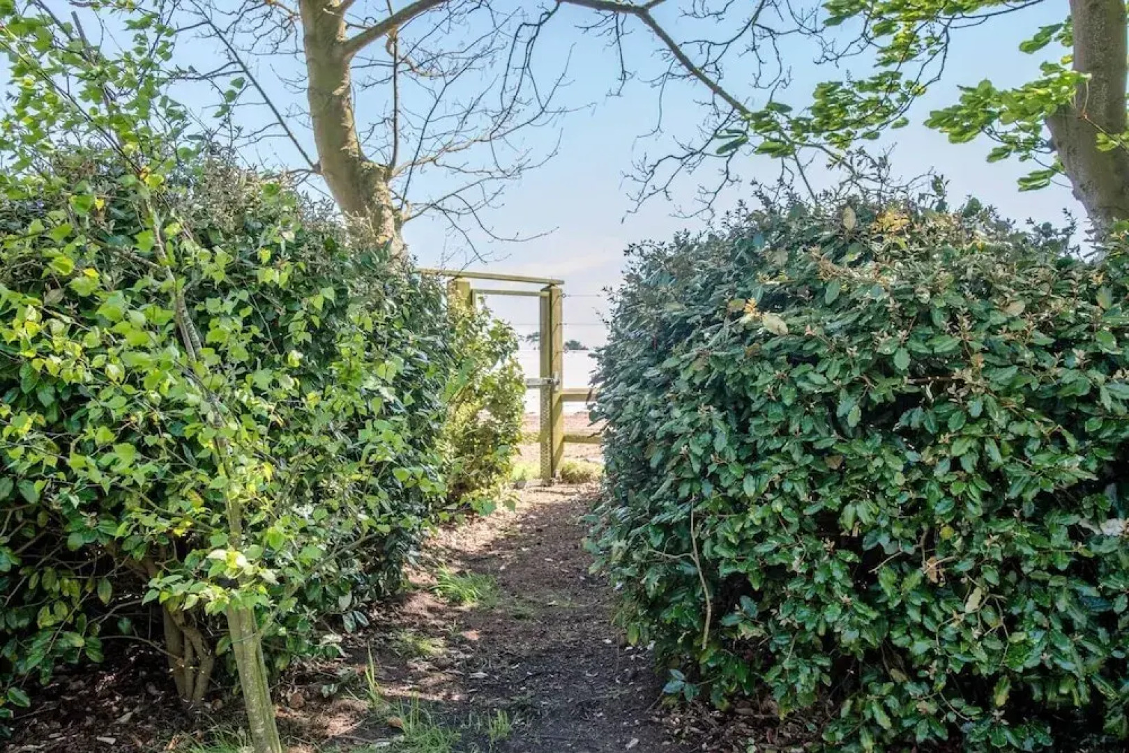 The Loose Box, Sudbourne