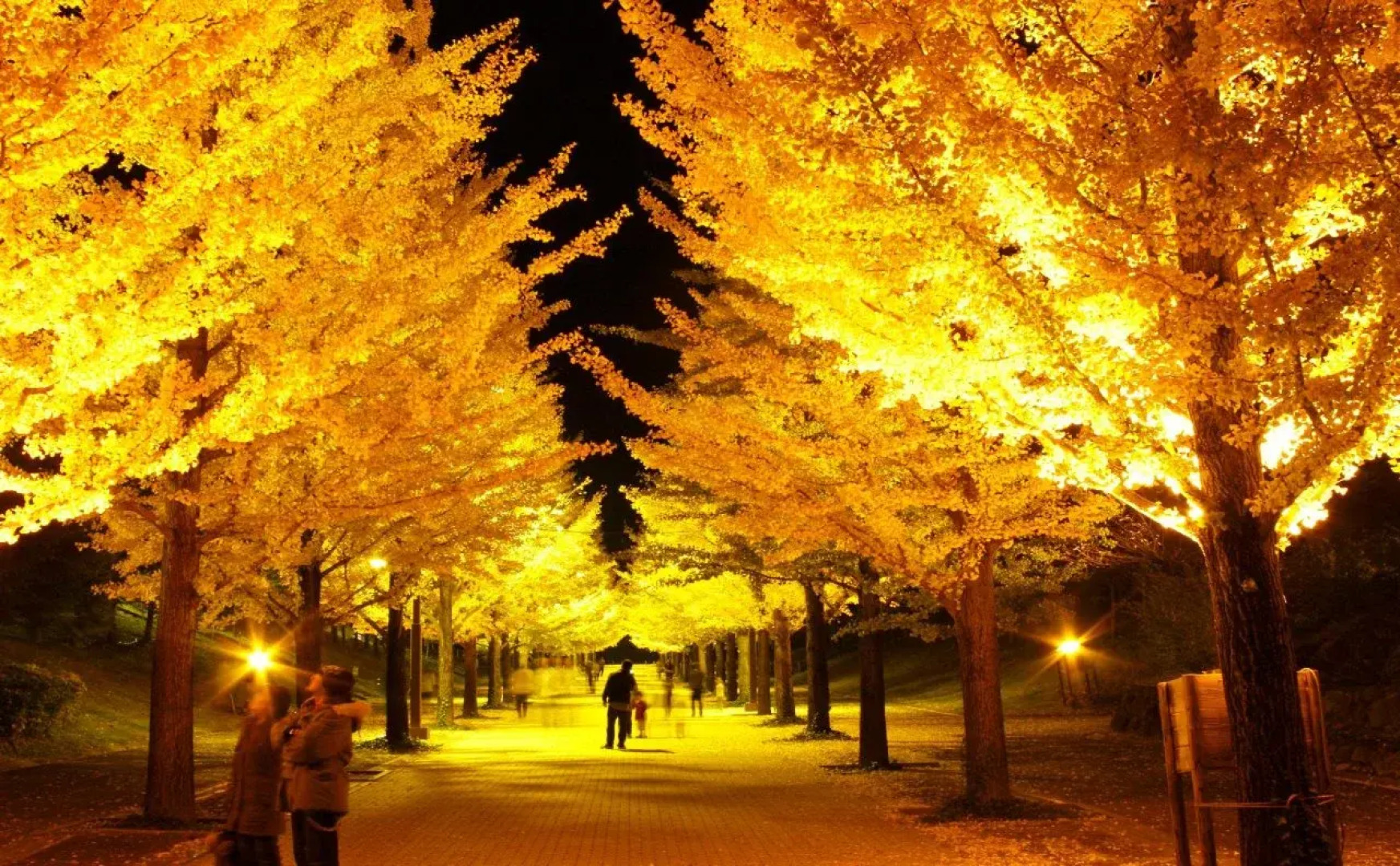 APA Hotel Fukushima Ekimae