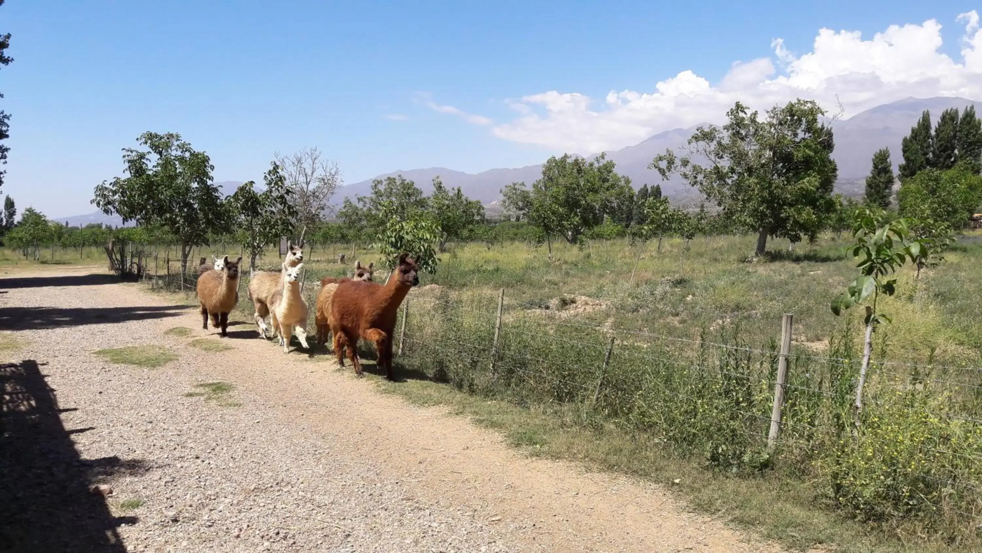 Cuesta de san miguel