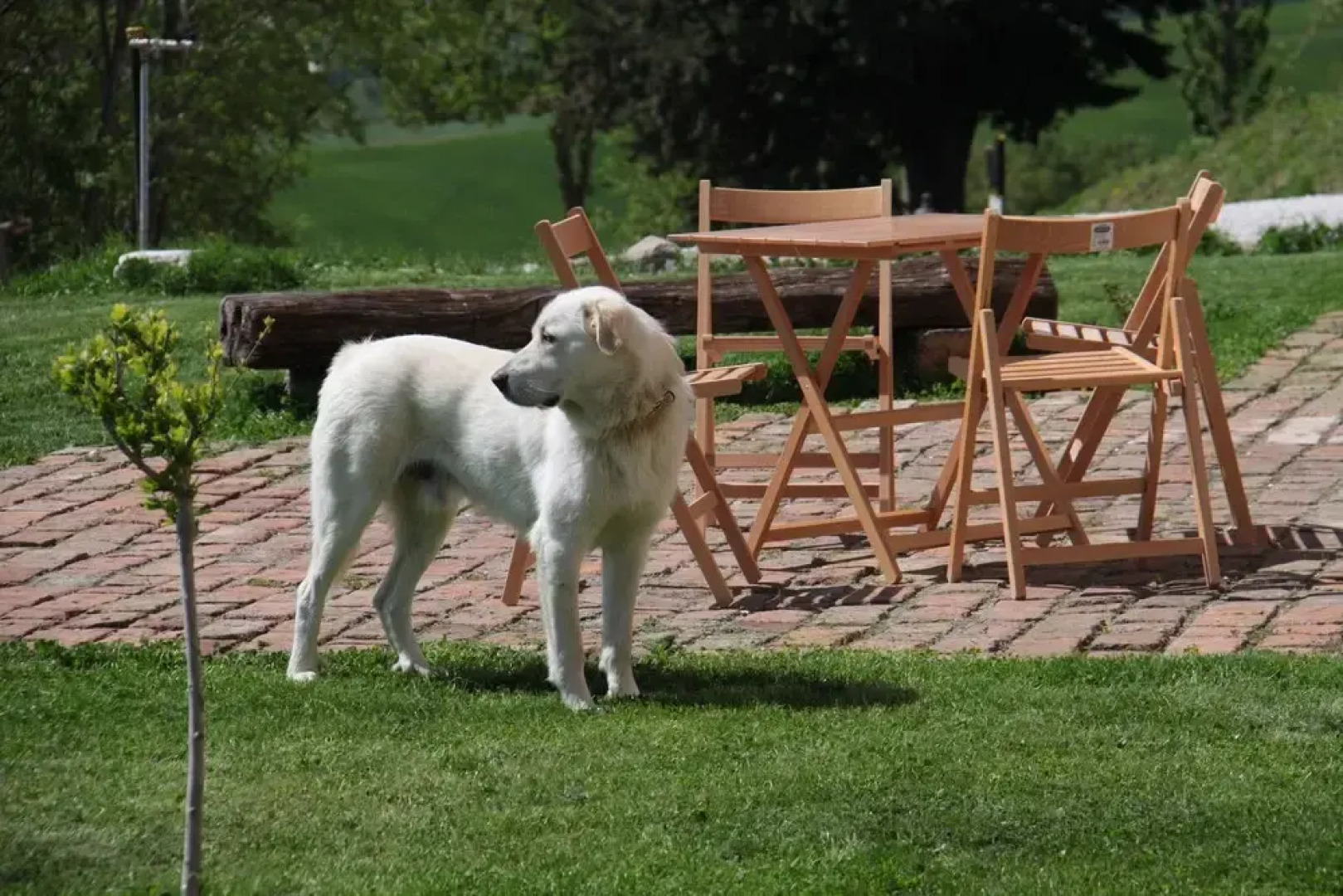 Agriturismo L'Isola Che Non C'era