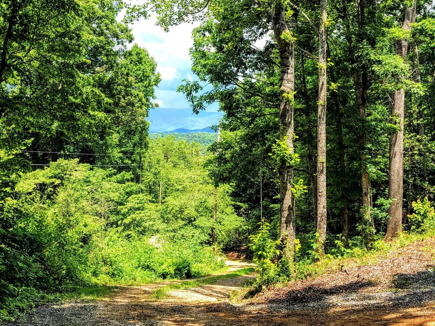 Smoky Mountain Views Cabins