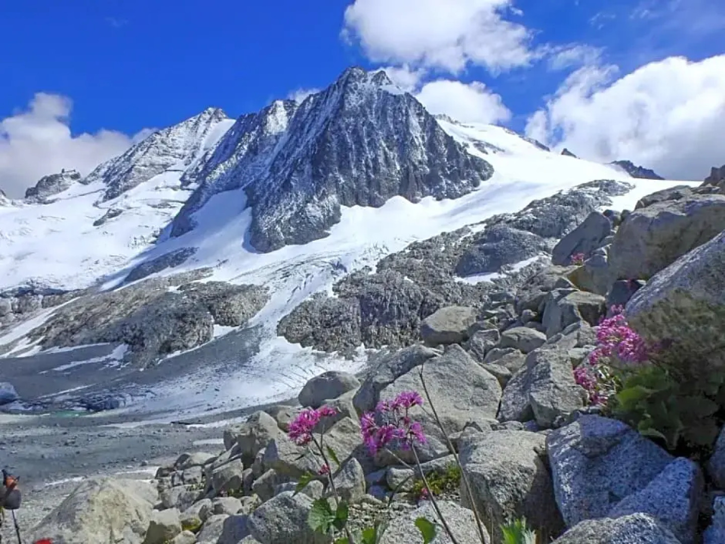 Alpenсolor Hotel Tonale